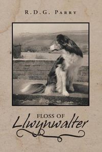 Cover image for Floss of Llwynwalter