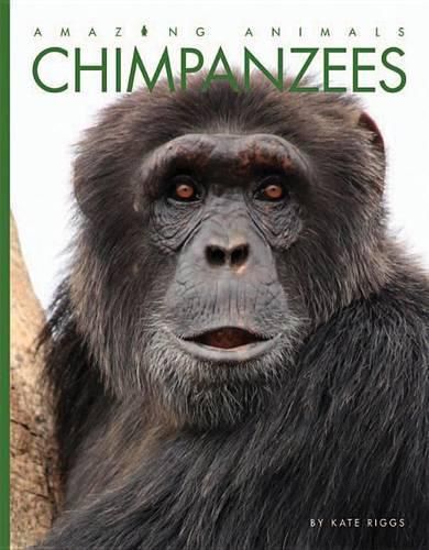 Cover image for Chimpanzees