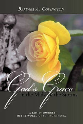 Cover image for God's Grace in the Midst of the Storms