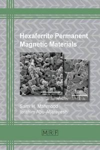 Cover image for Hexaferrite Permanent Magnetic Materials