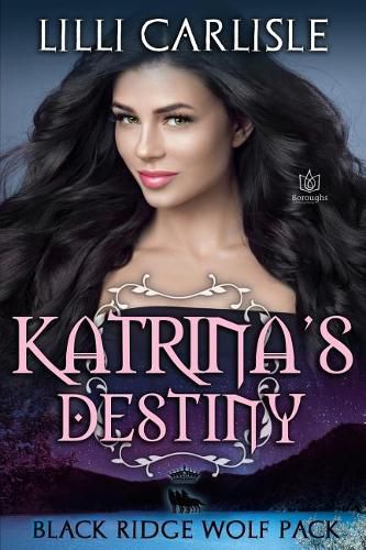 Cover image for Katrina's Destiny