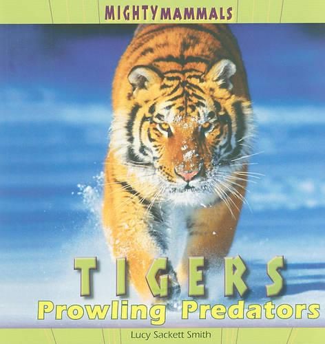 Cover image for Tigers