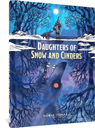 Cover image for Daughters of Snow and Cinders