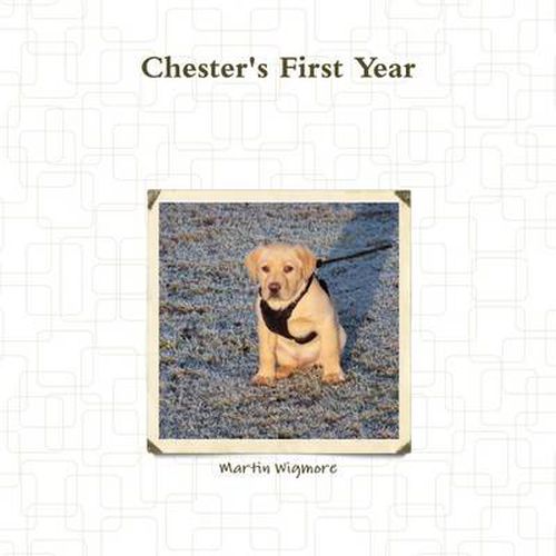 Cover image for Chester's First Year