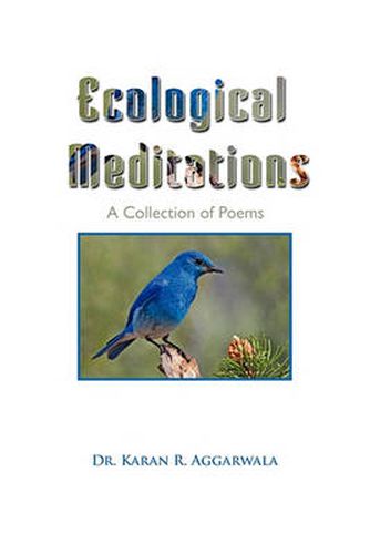 Cover image for Ecological Meditations