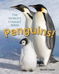Cover image for Penguins! The World's Coolest Birds