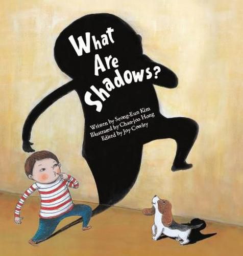 Cover image for What Are Shadows?: Shadow
