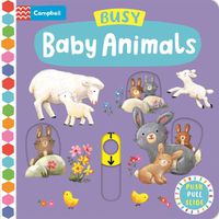 Cover image for Busy Baby Animals