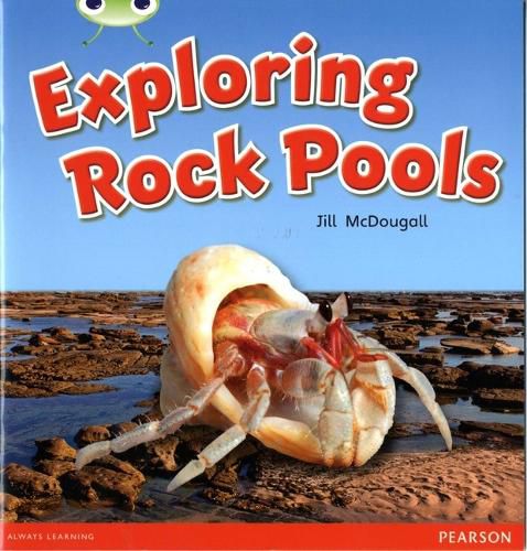 Cover image for Bug Club Guided Non Fiction Year 1 Green C Exploring Rock Pools