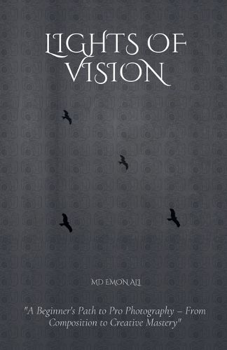 Cover image for Lights Of Vision