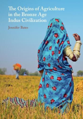 Cover image for The Origins of Agriculture in the Bronze Age Indus Civilization