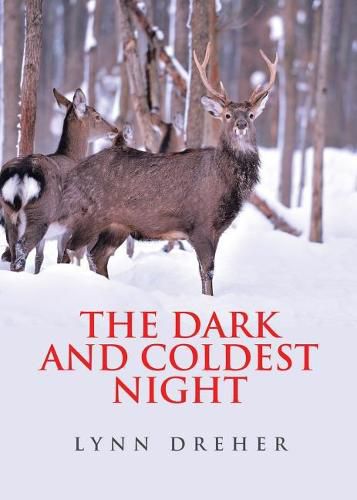 Cover image for The Dark and Coldest Night