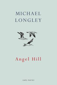 Cover image for Angel Hill