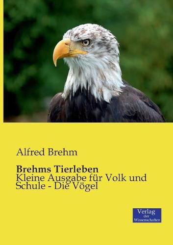 Cover image for Brehms Tierleben: Kleine Ausgabe fur Volk und Schule - Die Voegel