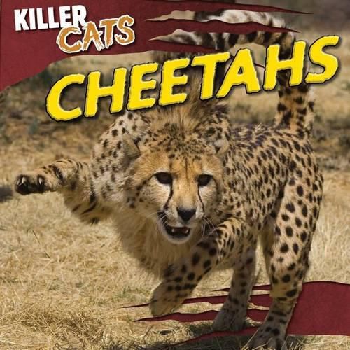 Cover image for Cheetahs