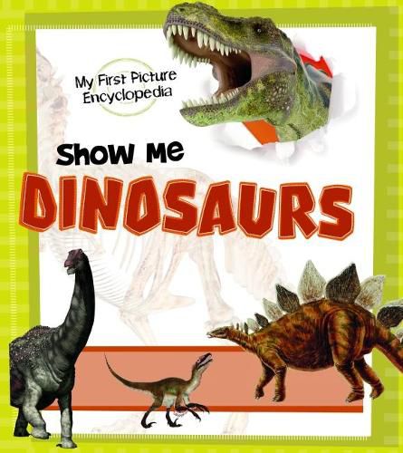 Cover image for Show Me Dinosaurs