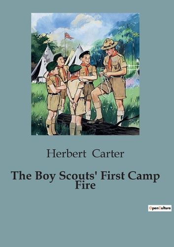 Cover image for The Boy Scouts' First Camp Fire