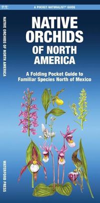 Cover image for Native Orchids of North America