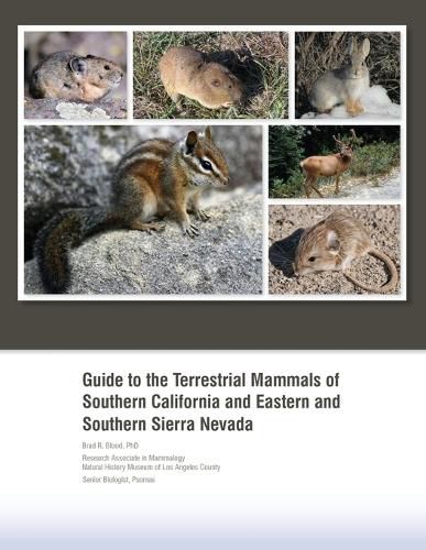 Cover image for Guide to the Terrestrial Mammals of Southern California and Eastern and Southern Sierra Nevada