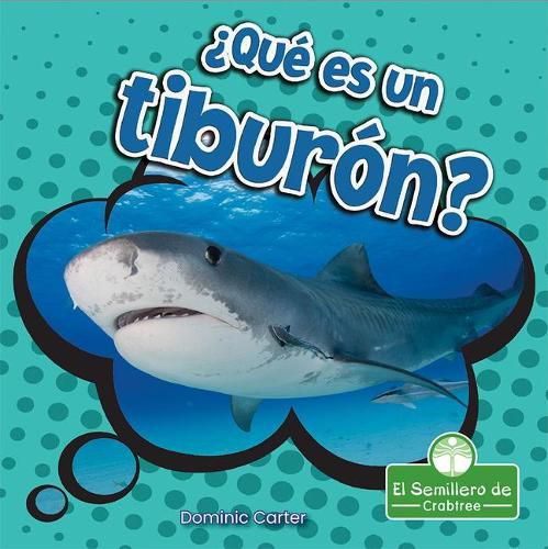 Cover image for ?que Es Un Tiburon?