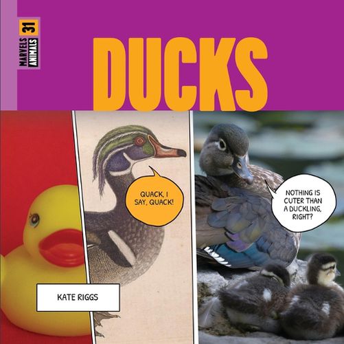 Cover image for Ducks
