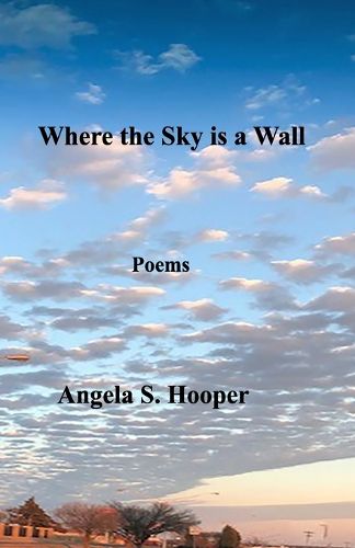 Cover image for Where the Sky is a Wall