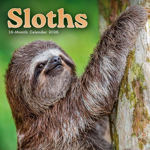 Cover image for 2026 Sloths Mini Wall Calendar