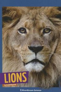 Cover image for Lions