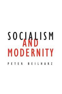 Cover image for Socialism and Modernity