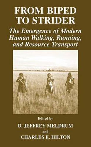 Cover image for From Biped to Strider: The Emergence of Modern Human Walking, Running, and Resource Transport