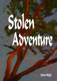 Cover image for Stolen Adventure