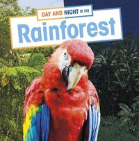 Cover image for Day and Night in the Rainforest
