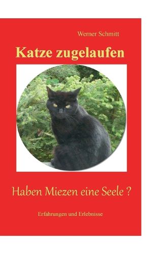 Cover image for Katze zugelaufen: Haben Miezen eine Seele ?