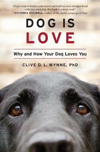 Cover image for Dog Is Love: Why and How Your Dog Loves You