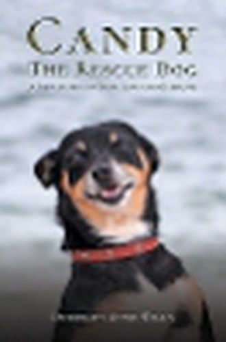 Cover image for Candy the Rescue Dog