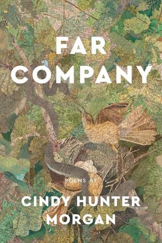 Cover image for Far Company: Poems by Cindy Hunter Morgan