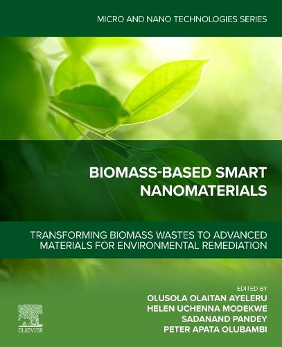 Cover image for Biomass-Based Smart Nanomaterials