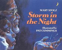 Cover image for Storm in the Night