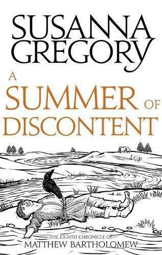 Cover image for A Summer Of Discontent: The Eighth Matthew Bartholomew Chronicle