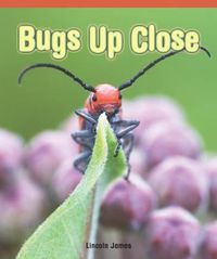 Cover image for Bugs Up Close