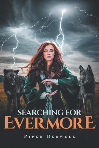 Cover image for Searching for Evermore
