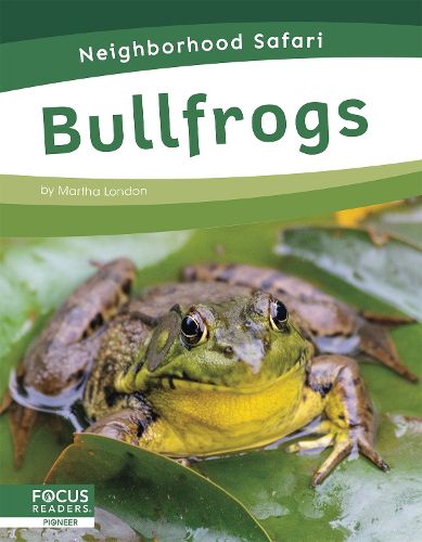 Cover image for Neighborhood Safari: Bullfrogs