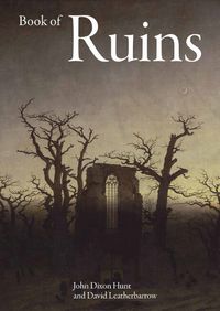 Cover image for Book of Ruins