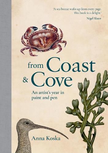 Cover image for From Coast & Cove: An artist's year in paint and pen