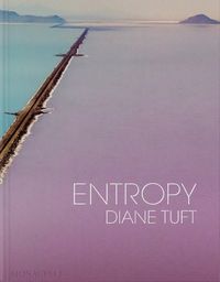 Cover image for Entropy