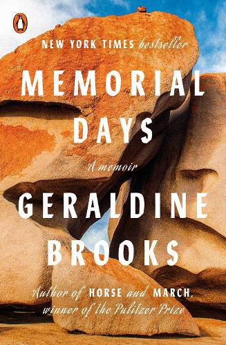 Cover image for Memorial Days