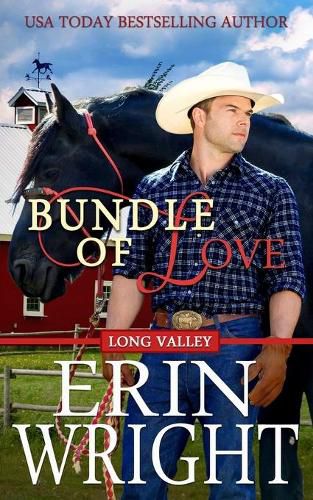 Cover image for Bundle of Love: A Long Valley Romance Novel