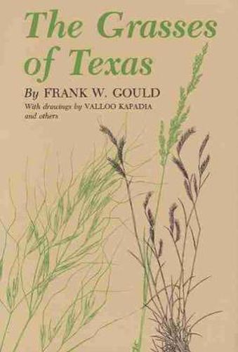 Cover image for Grasses of Texas