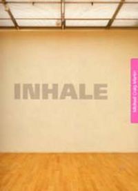 Cover image for Michael Craig-Martin Inhale/Exhale