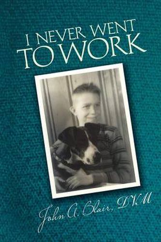 Cover image for I Never Went to Work